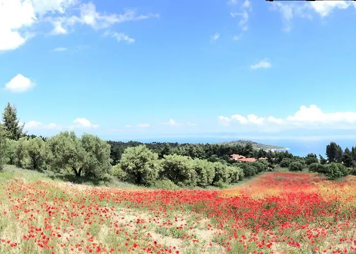 Palatina Сasa de vacaciones