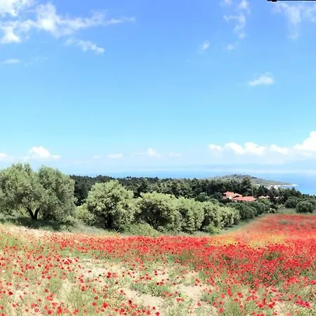 Palatina Semesterbostad