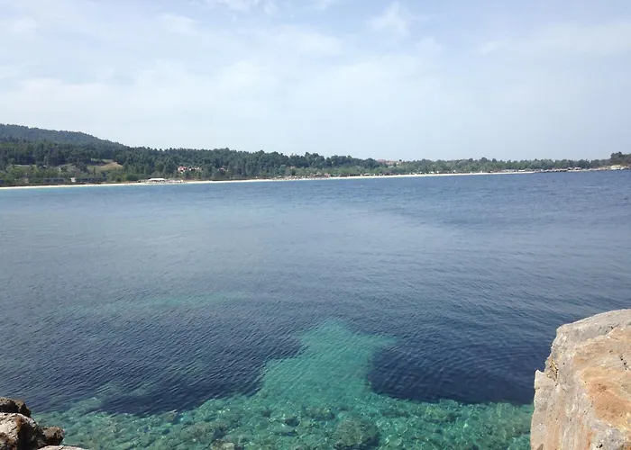 Palatina 帕利乌里翁